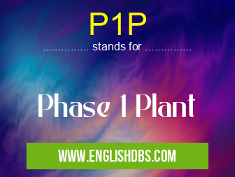 P1P