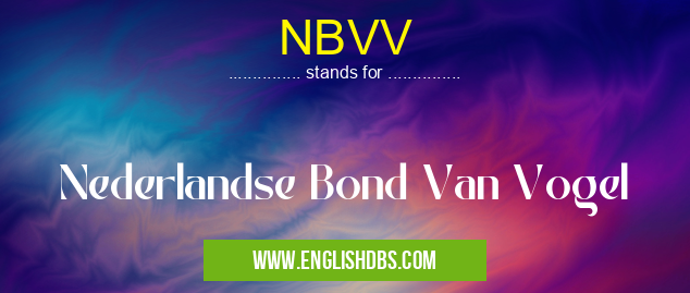 NBVV