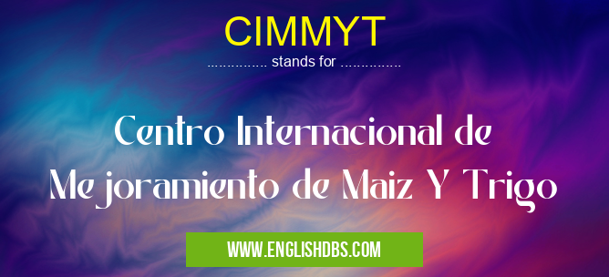 CIMMYT