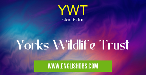 YWT