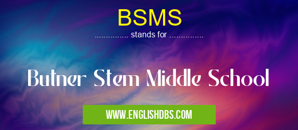 BSMS