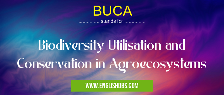 BUCA