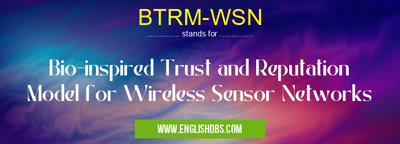 BTRM-WSN