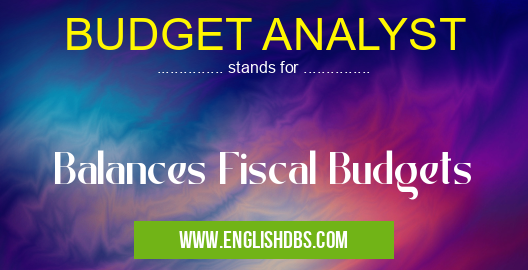 BUDGET ANALYST