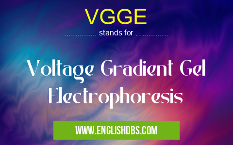 VGGE