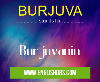 BURJUVA