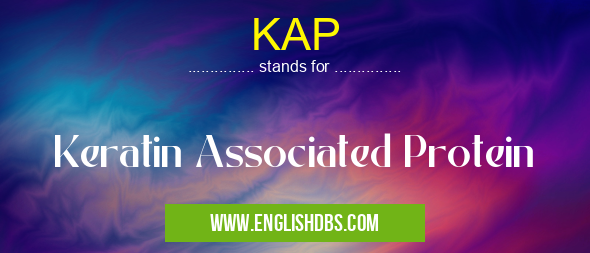KAP