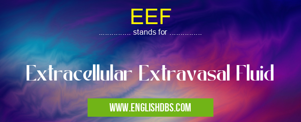 EEF