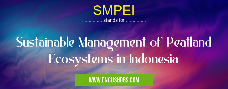 SMPEI