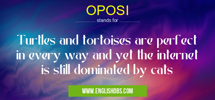 OPOSI means Turtles and tortoises are perfect in every way and yet the internet is still dominated by cats OPOSI
