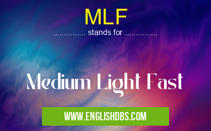 MLF
