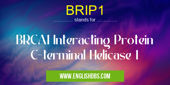 BRIP1