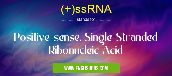 (+)ssRNA
