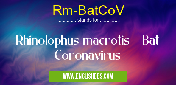 Rm-BatCoV