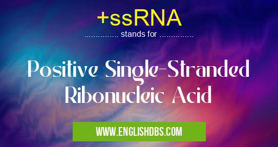 +ssRNA