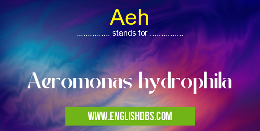 Aeh