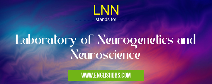 LNN