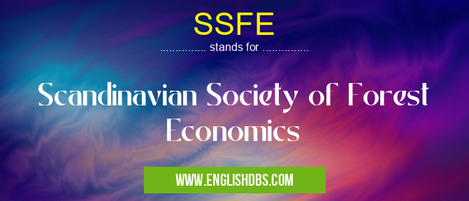 SSFE
