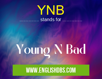 YNB