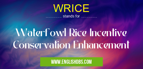 WRICE
