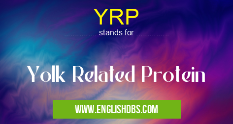 YRP