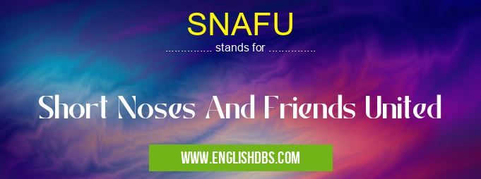 SNAFU