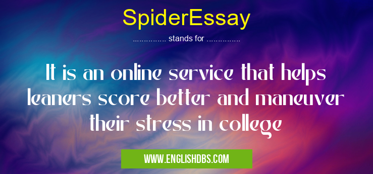SpiderEssay