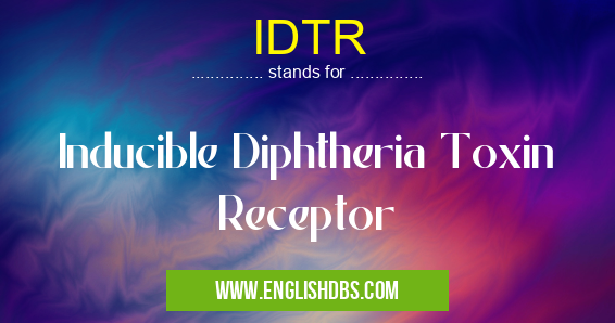IDTR