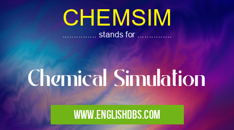 CHEMSIM