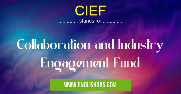 CIEF