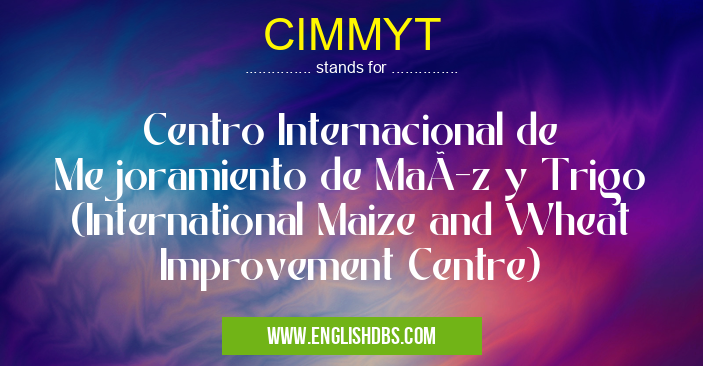CIMMYT