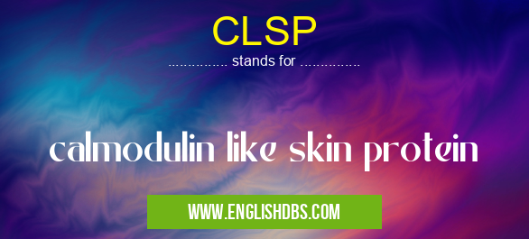 CLSP