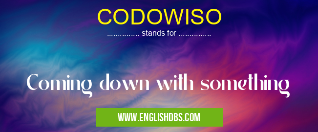 CODOWISO