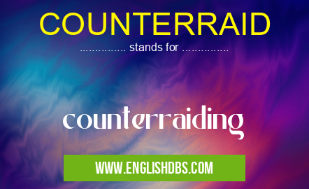 COUNTERRAID