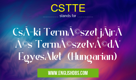 CSTTE