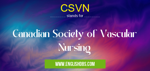 CSVN