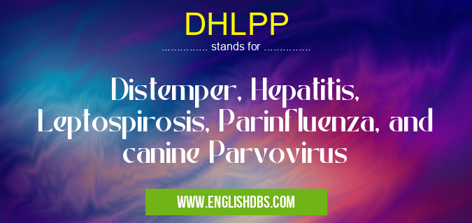DHLPP