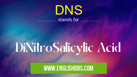 DNS