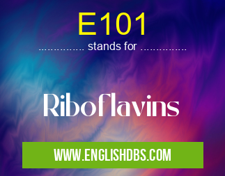 E101