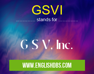 GSVI