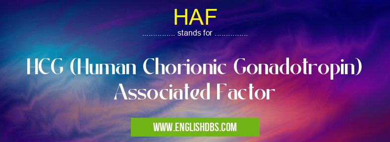 HAF