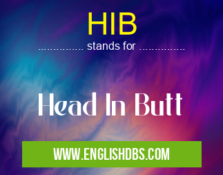 HIB