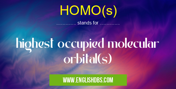 HOMO(s)