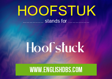 HOOFSTUK