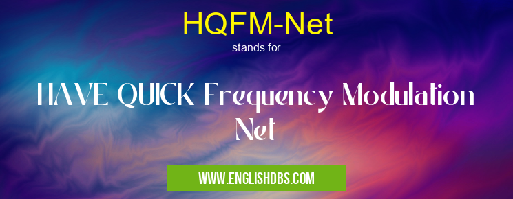 HQFM-Net