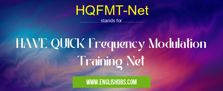 HQFMT-Net