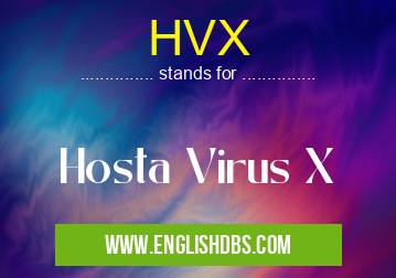 HVX