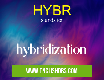 HYBR