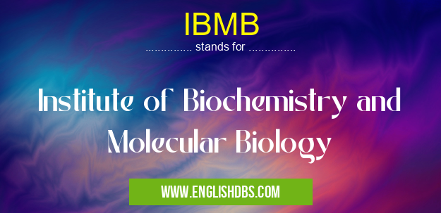 IBMB