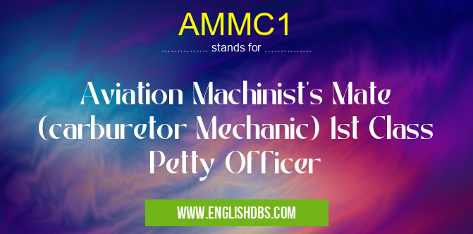 AMMC1